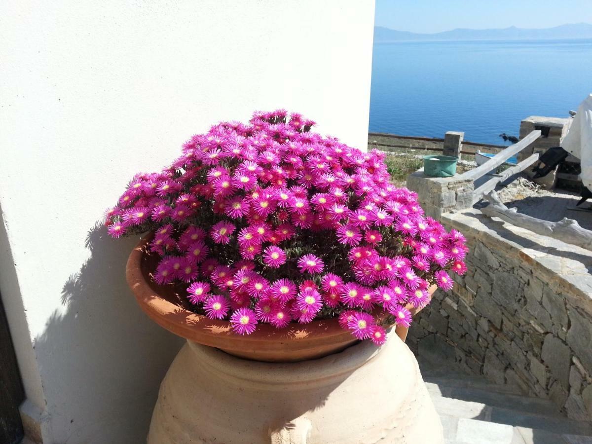 Aegean View - Seaside Apartment In Syros Azolimnos Extérieur photo